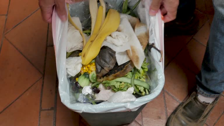 Best Carpet Removal and Disposal  in Marion Oaks, FL